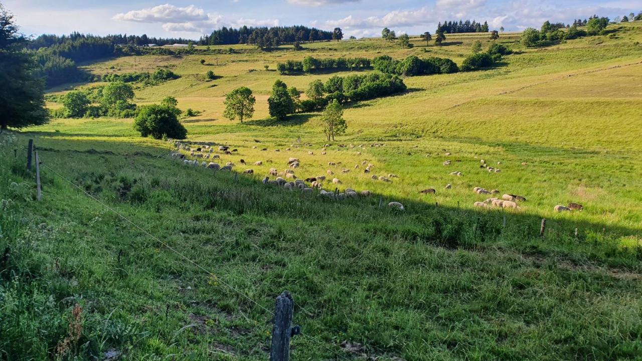 Les Estaou Treillo Le Monastier sur Gazeille